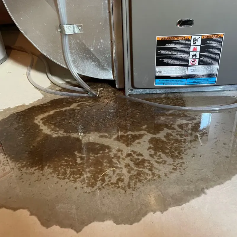 Pipe Burst and Leak Restoration in Rafter J Ranch, WY
