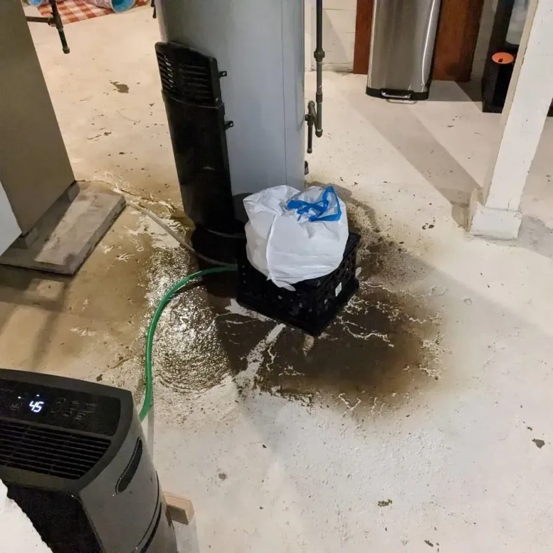 Sewage Backup Cleanup Service in Rafter J Ranch, WY
